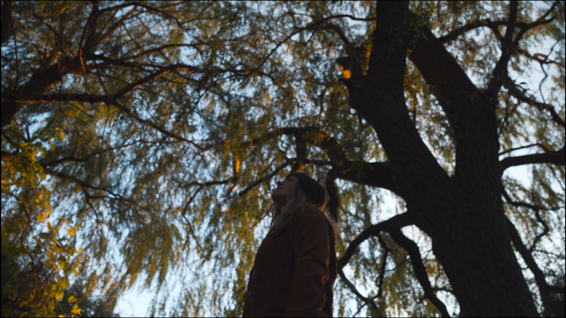 Woman standing under a large willow tree, gazing upward as sunlight filters through the leaves