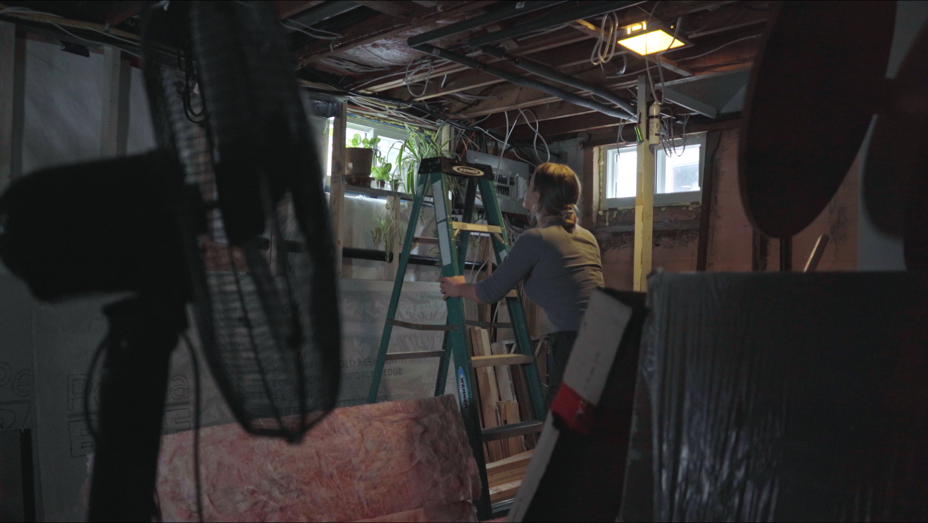 Woman standing on a ladder in a basement under renovation, reaching toward a windowsill with plants